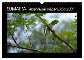 SUMATRA Abenteuer Regenwald (Wandkalender 2024 DIN A3 quer), CALVENDO Monatskalender von Grallert,  Bettina