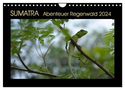 SUMATRA Abenteuer Regenwald (Wandkalender 2024 DIN A4 quer), CALVENDO Monatskalender von Grallert,  Bettina