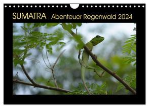 SUMATRA Abenteuer Regenwald (Wandkalender 2024 DIN A4 quer), CALVENDO Monatskalender von Grallert,  Bettina