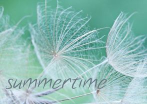 summertime (Posterbuch DIN A2 quer) von Hultsch,  Heike