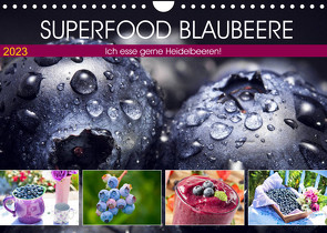 Superfood Blaubeere. Ich esse gerne Heidelbeeren! (Wandkalender 2023 DIN A4 quer) von Hurley,  Rose