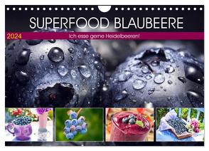 Superfood Blaubeere. Ich esse gerne Heidelbeeren! (Wandkalender 2024 DIN A4 quer), CALVENDO Monatskalender von Hurley,  Rose
