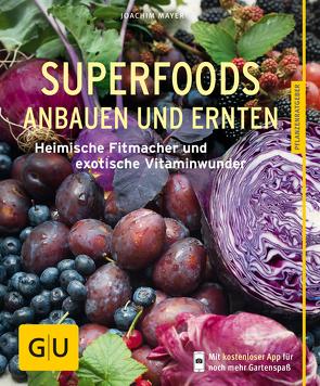 Superfoods anbauen und ernten von Mayer,  Joachim