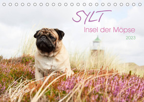 Sylt – Insel der Möpse (Tischkalender 2023 DIN A5 quer) von Dodeck,  Ole