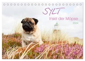 Sylt – Insel der Möpse (Tischkalender 2024 DIN A5 quer), CALVENDO Monatskalender von Dodeck,  Ole