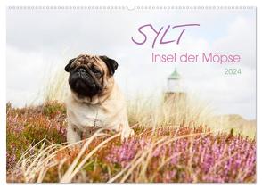 Sylt – Insel der Möpse (Wandkalender 2024 DIN A2 quer), CALVENDO Monatskalender von Dodeck,  Ole