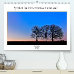 Symbol für Unsterblichkeit und Kraft (Premium, hochwertiger DIN A2 Wandkalender 2023, Kunstdruck in Hochglanz) von Stenner,  Clemens