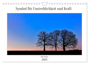 Symbol für Unsterblichkeit und Kraft (Wandkalender 2024 DIN A4 quer), CALVENDO Monatskalender von Stenner,  Clemens