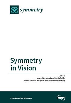 Symmetry in Vision von Bertamini,  Marco, Griffin,  Lewis