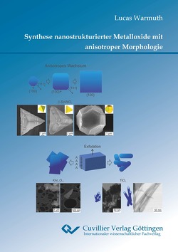 Synthese nanostrukturierter Metalloxide mit anisotroper Morphologie von Warmuth,  Lucas
