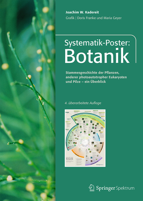 Systematik-Poster: Botanik von Franke,  Doris, Geyer,  Maria, Kadereit,  Joachim W.