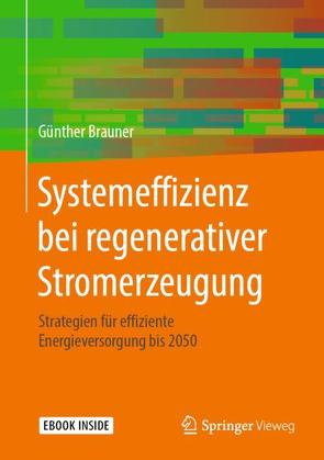 Systemeffizienz bei regenerativer Stromerzeugung von Brauner,  Günther