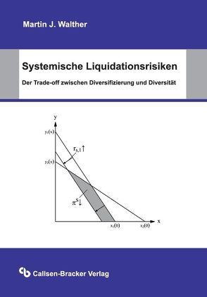 Systemische Liquidationsrisiken von Walther,  Martin J.