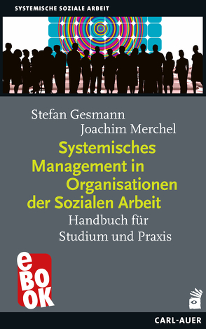 Systemisches Management in Organisationen der Sozialen Arbeit von Gesmann,  Stefan, Merchel,  Joachim