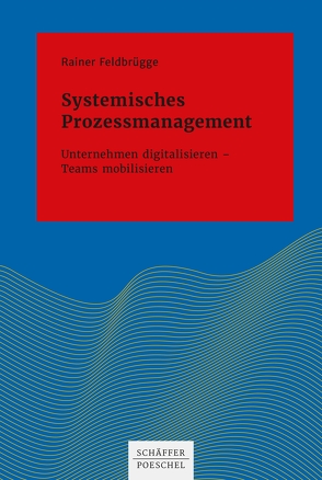 Systemisches Prozessmanagement von Feldbrügge,  Rainer