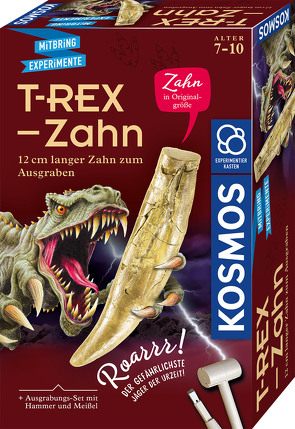 T-rex – Zahn
