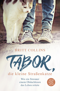 Tabor, die kleine Straßenkatze von Collins,  Britt, Wais,  Johanna