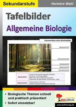 Tafelbilder Allgemeine Biologie von Wabl,  Hermine