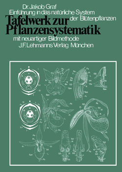 Tafelwerk zur Pflanzensystematik von Graf,  J., Kristen,  I., Weber,  A, Weber,  H.