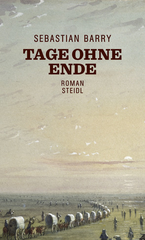 Tage ohne Ende von Barry,  Sebastian, Oeser,  Hans-Christian