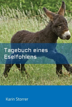 Tagebuch eines Eselfohlens von Storrer,  Karin