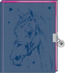 Tagebuch – Pferdefreunde – Mein Tagebuch (blau) von Roß,  Thea
