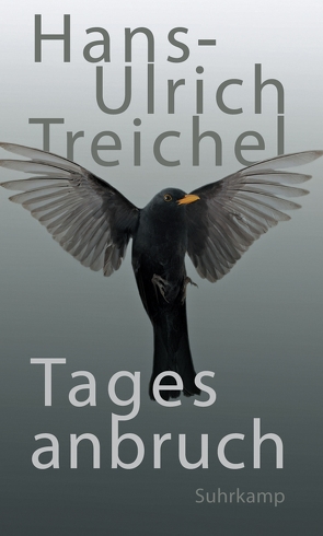 Tagesanbruch von Treichel,  Hans-Ulrich