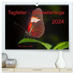 Tagfalter Schmetterlinge (hochwertiger Premium Wandkalender 2024 DIN A2 quer), Kunstdruck in Hochglanz von J. Koller 4Pictures.ch,  Alois