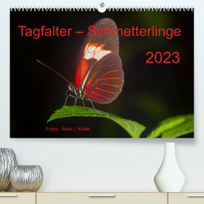 Tagfalter Schmetterlinge (Premium, hochwertiger DIN A2 Wandkalender 2023, Kunstdruck in Hochglanz) von J. Koller 4Pictures.ch,  Alois