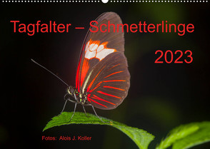 Tagfalter Schmetterlinge (Wandkalender 2023 DIN A2 quer) von J. Koller 4Pictures.ch,  Alois