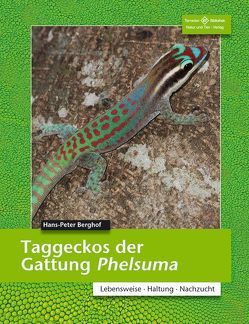 Taggeckos der Gattung Phelsuma von Berghof,  Hans-Peter
