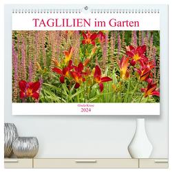 Taglilien im Garten (hochwertiger Premium Wandkalender 2024 DIN A2 quer), Kunstdruck in Hochglanz von Kruse,  Gisela