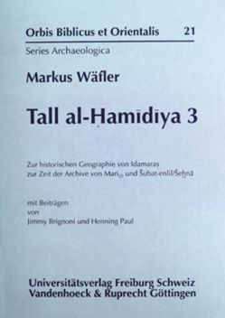 Tall al-Hamidiya 3 von Wäfler,  Markus