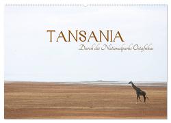 Tansania – Durch die Nationalparks Ostafrikas (Wandkalender 2024 DIN A2 quer), CALVENDO Monatskalender von Stützle,  Michael