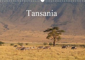 Tansania (Wandkalender 2020 DIN A3 quer) von Amrhein,  Horst
