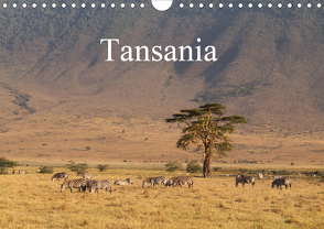 Tansania (Wandkalender 2020 DIN A4 quer) von Amrhein,  Horst