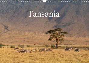 Tansania (Wandkalender 2021 DIN A3 quer) von Amrhein,  Horst