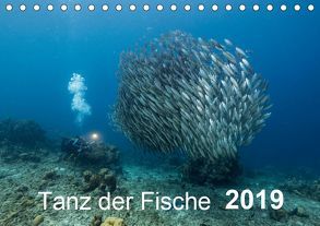 Tanz der Fische (Tischkalender 2019 DIN A5 quer) von - Yvonne & Tilo Kühnast,  naturepics