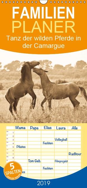 Tanz der wilden Pferde in der Camargue – Familienplaner hoch (Wandkalender 2019 , 21 cm x 45 cm, hoch) von Bölts,  Meike