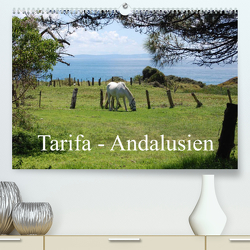 Tarifa – Andalusien (Premium, hochwertiger DIN A2 Wandkalender 2023, Kunstdruck in Hochglanz) von Peitz,  Martin