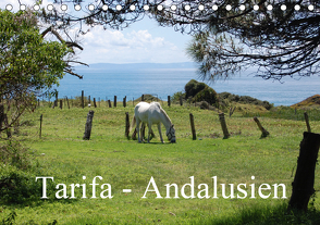 Tarifa – Andalusien (Tischkalender 2021 DIN A5 quer) von Peitz,  Martin