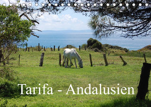 Tarifa – Andalusien (Tischkalender 2023 DIN A5 quer) von Peitz,  Martin