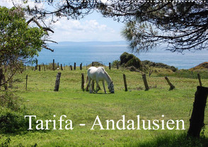 Tarifa – Andalusien (Wandkalender 2023 DIN A2 quer) von Peitz,  Martin