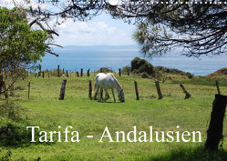 Tarifa – Andalusien (Wandkalender 2023 DIN A3 quer) von Peitz,  Martin