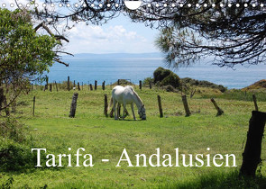 Tarifa – Andalusien (Wandkalender 2023 DIN A4 quer) von Peitz,  Martin