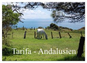 Tarifa – Andalusien (Wandkalender 2024 DIN A2 quer), CALVENDO Monatskalender von Peitz,  Martin