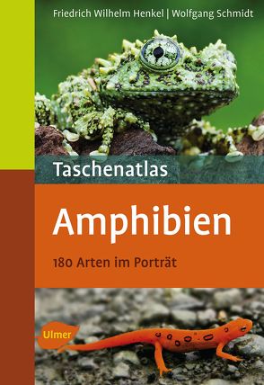 Taschenatlas Amphibien von Henkel,  Friedrich Wilhelm, Schmidt,  Wolfgang