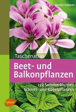Beet- und Balkonpflanzen von Haberer,  Martin