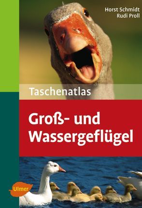 Taschenatlas Groß- und Wassergeflügel von Proll,  Rudi, Schmidt,  Horst