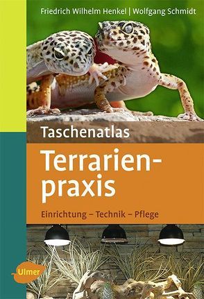 Taschenatlas Terrarienpraxis von Henkel,  Friedrich Wilhelm, Schmidt,  Wolfgang